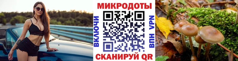 Псилоцибиновые грибы MAGIC MUSHROOMS Короча